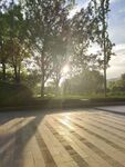 陽光公園