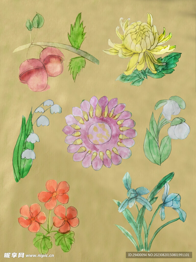 植物花卉水彩画抠图元素