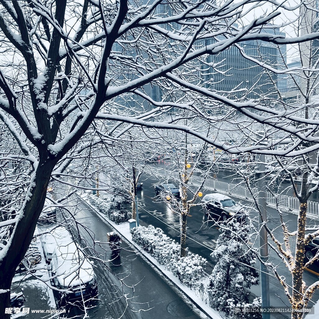 冬天景色