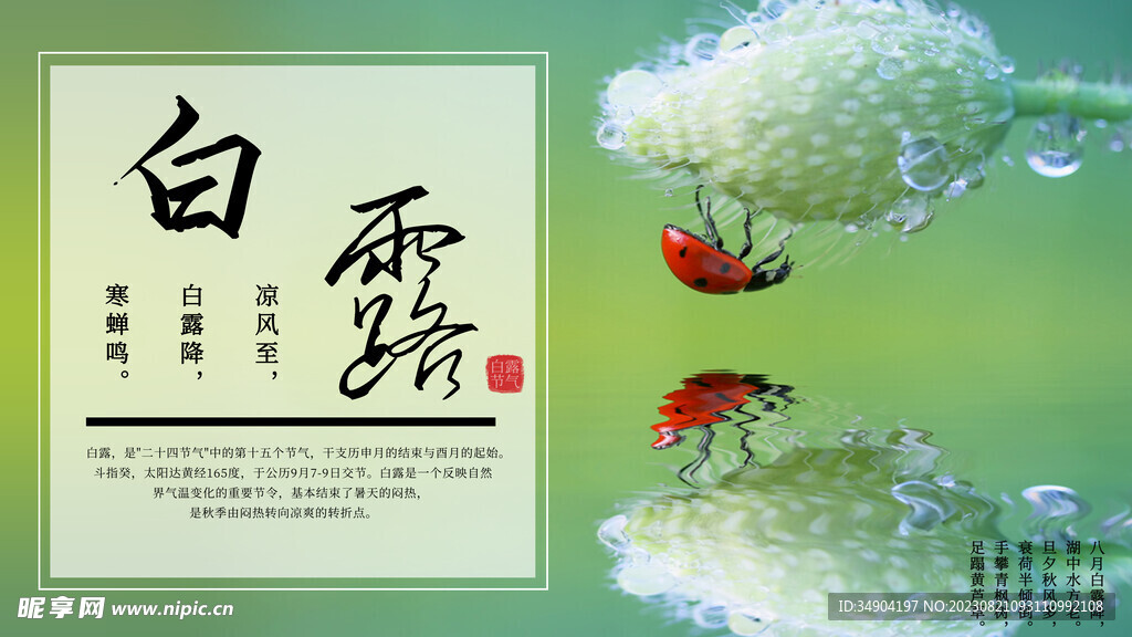 白露節氣宣傳