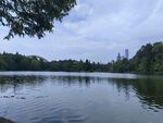 树木湖面景观