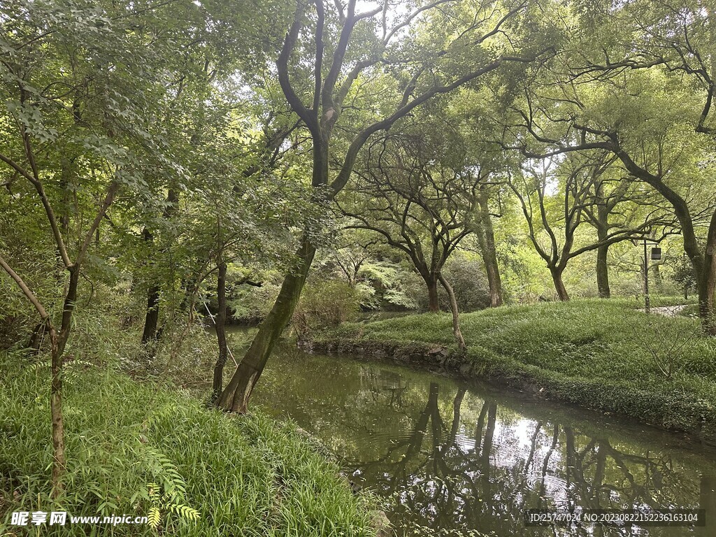 西湖公园林荫河流