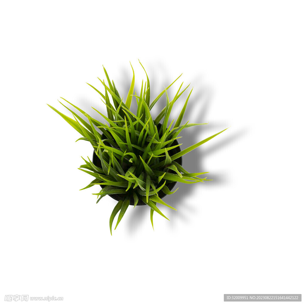 綠植png        