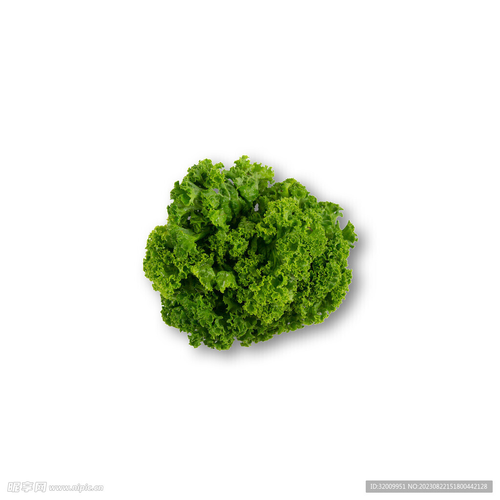 生菜png          