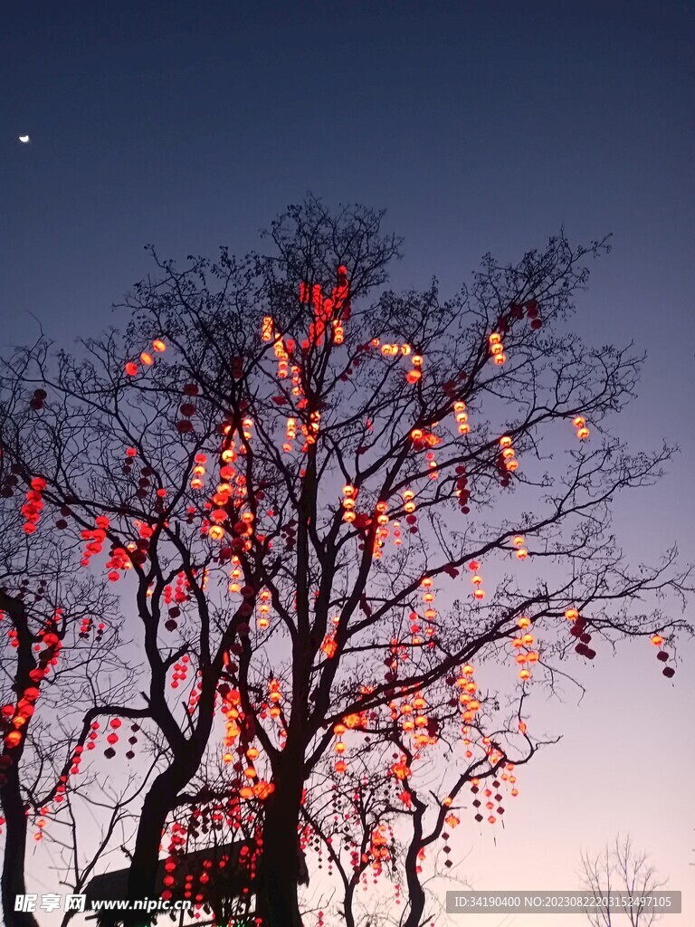 燈籠 夜燈