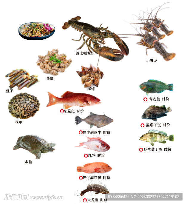 魚類扣圖