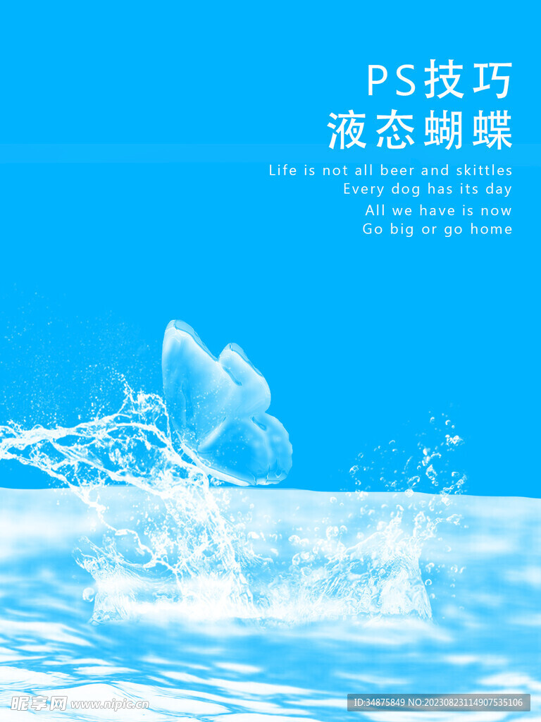 免扣蝴蝶海報