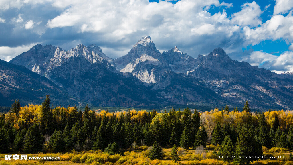 樹林大山