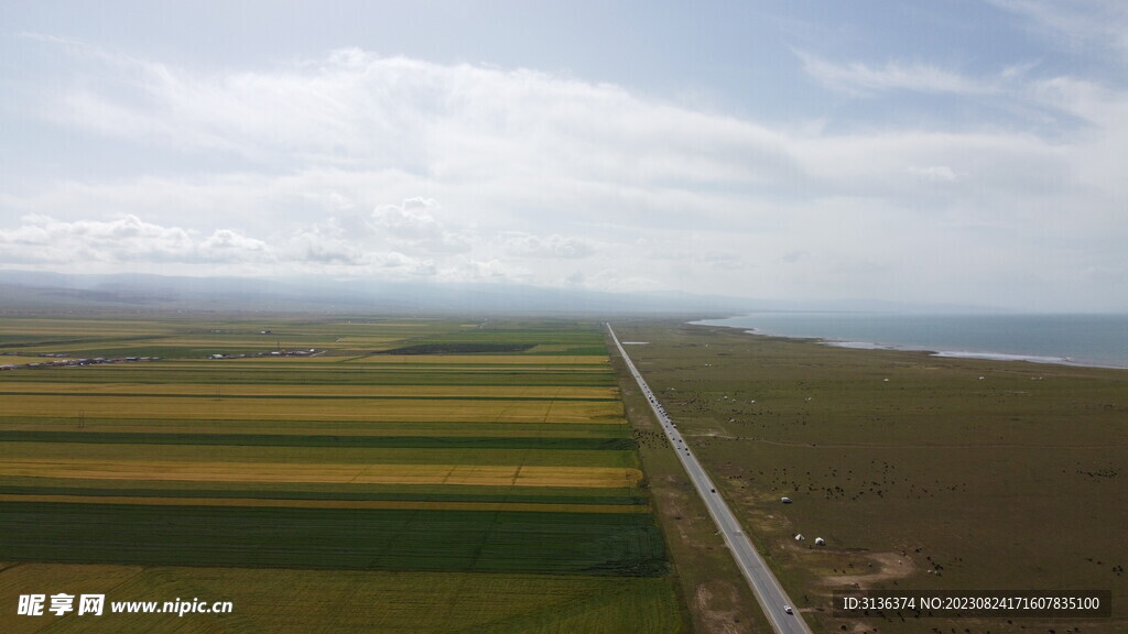 草地 田地 