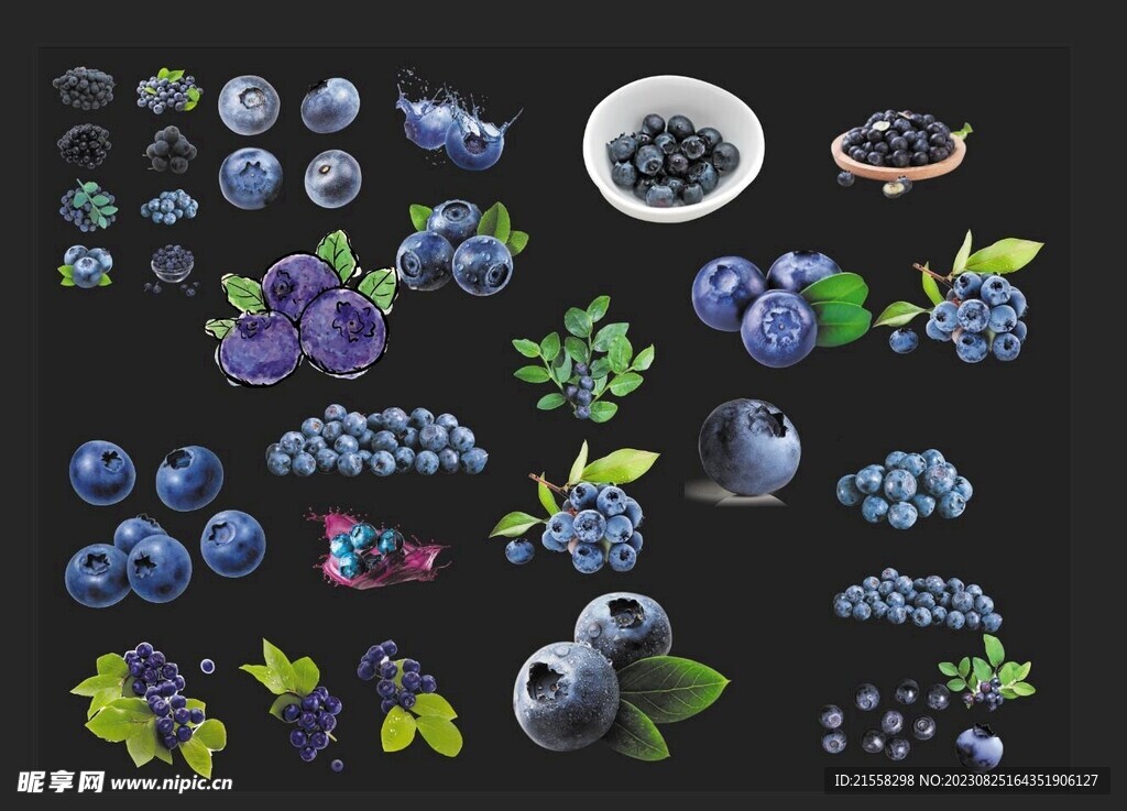 蓝莓素材合集