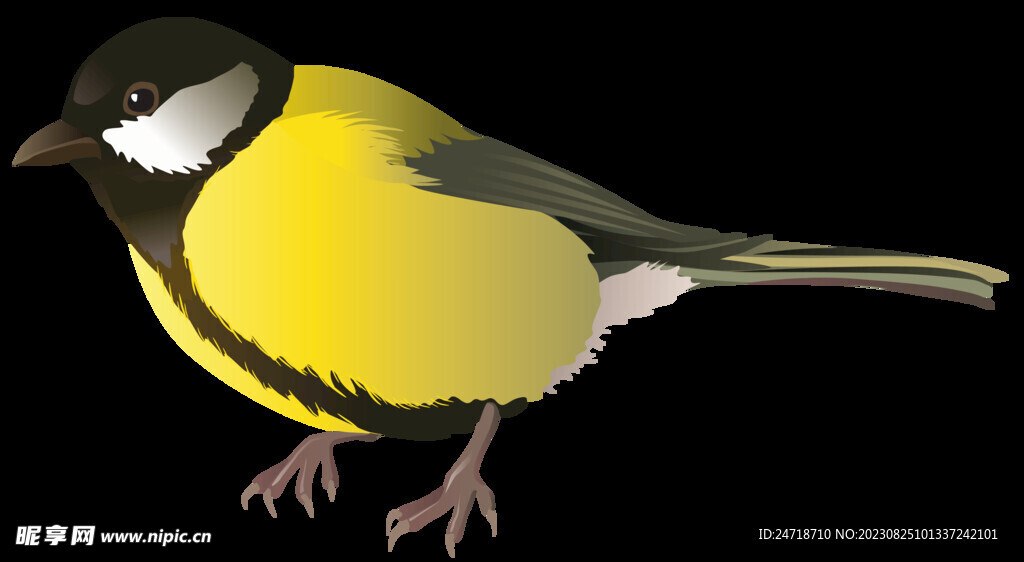 鳥