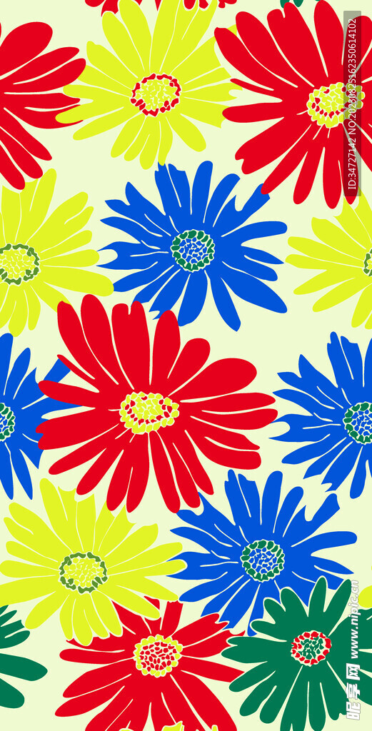 菊花-