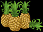 菠萝印象装饰画