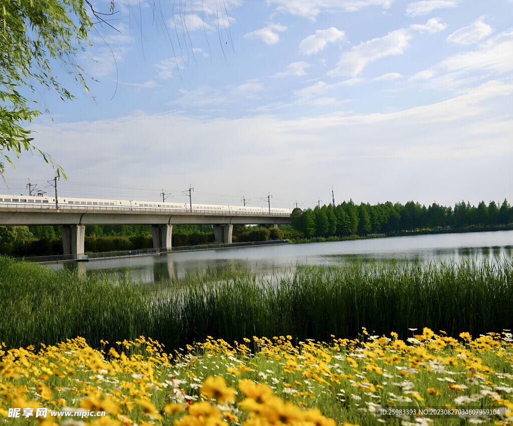 公路橋