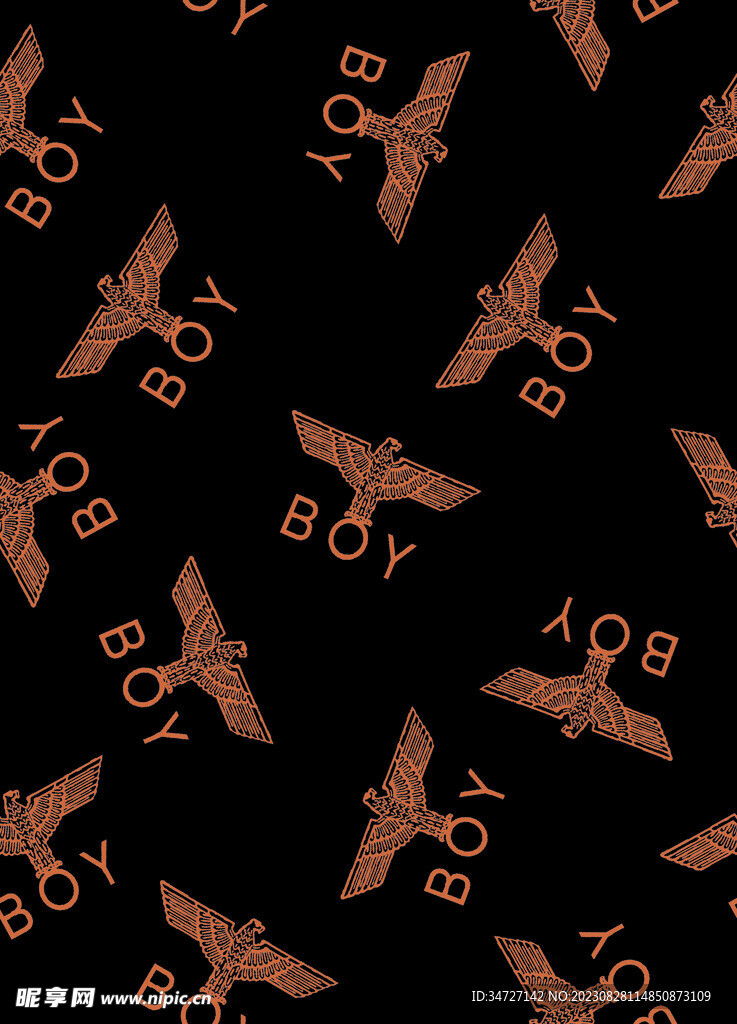 老鷹boy