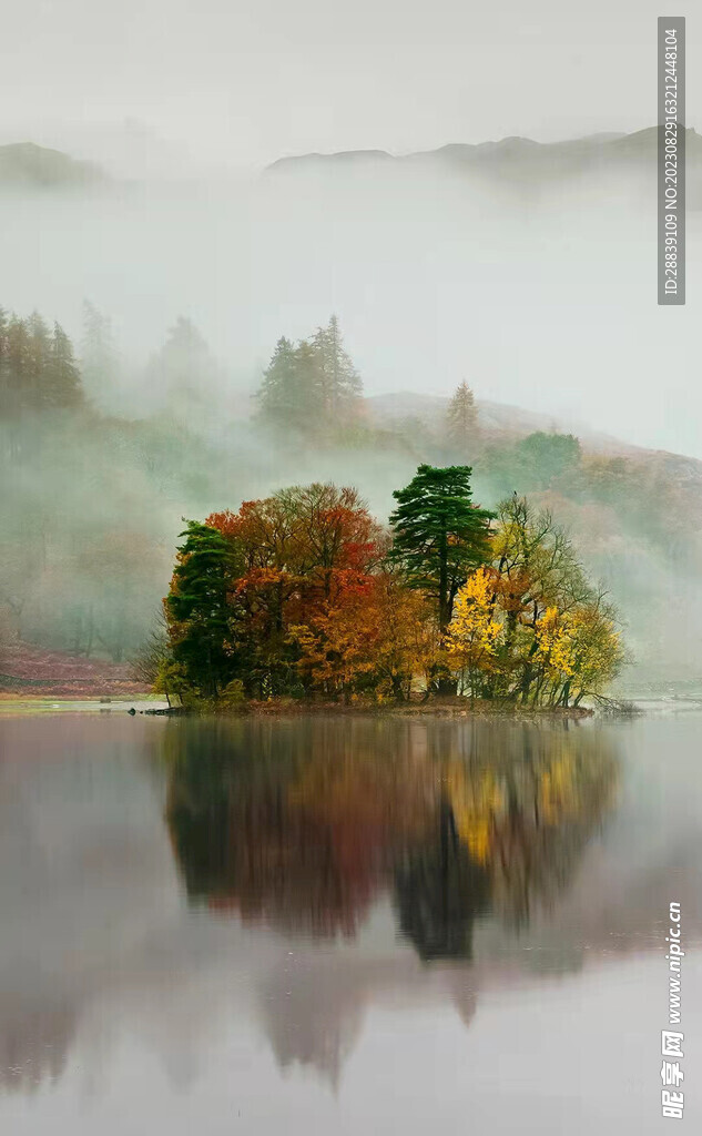 海中花