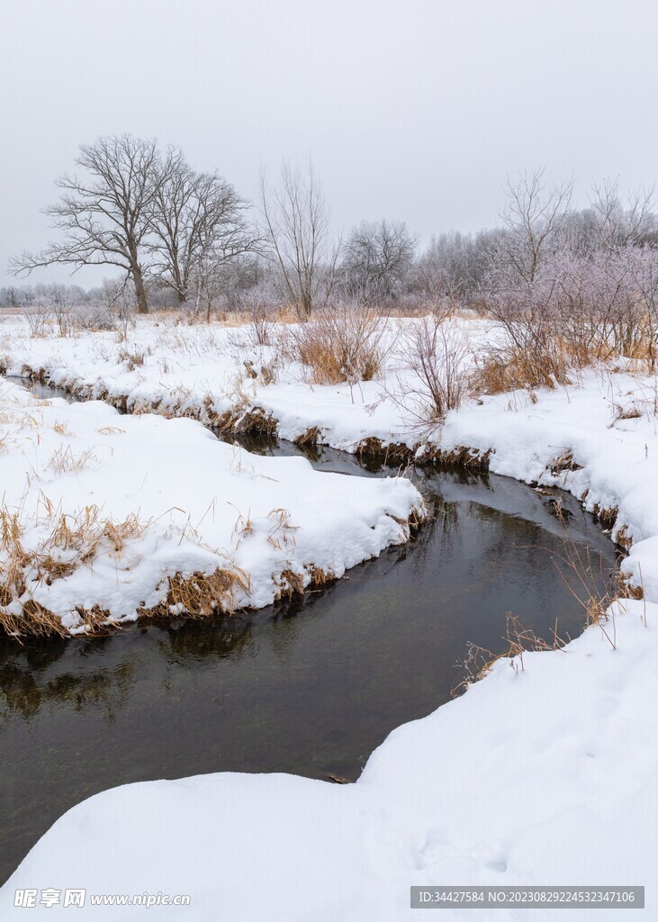 雪景和河流