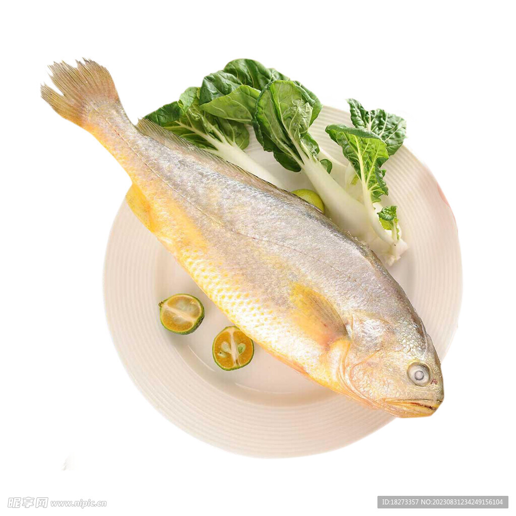 黃花魚