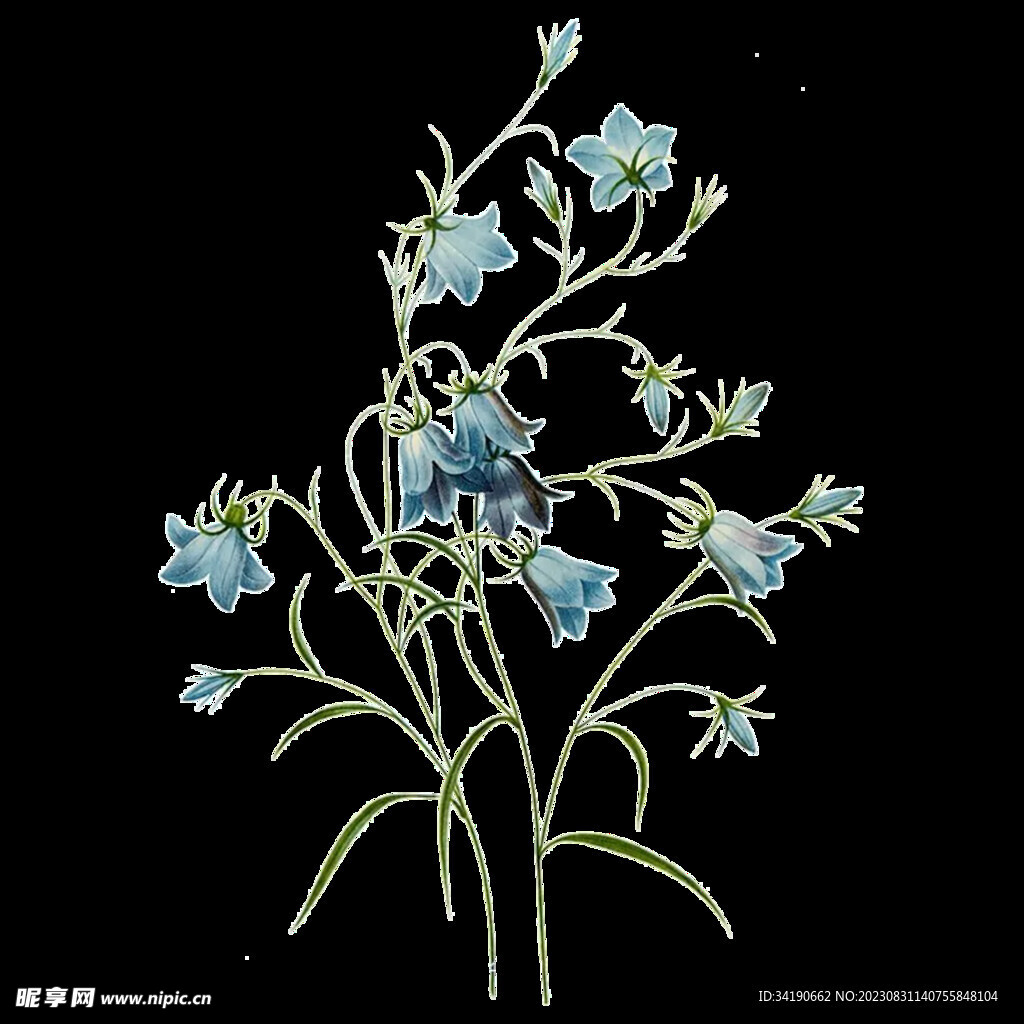 小花枝