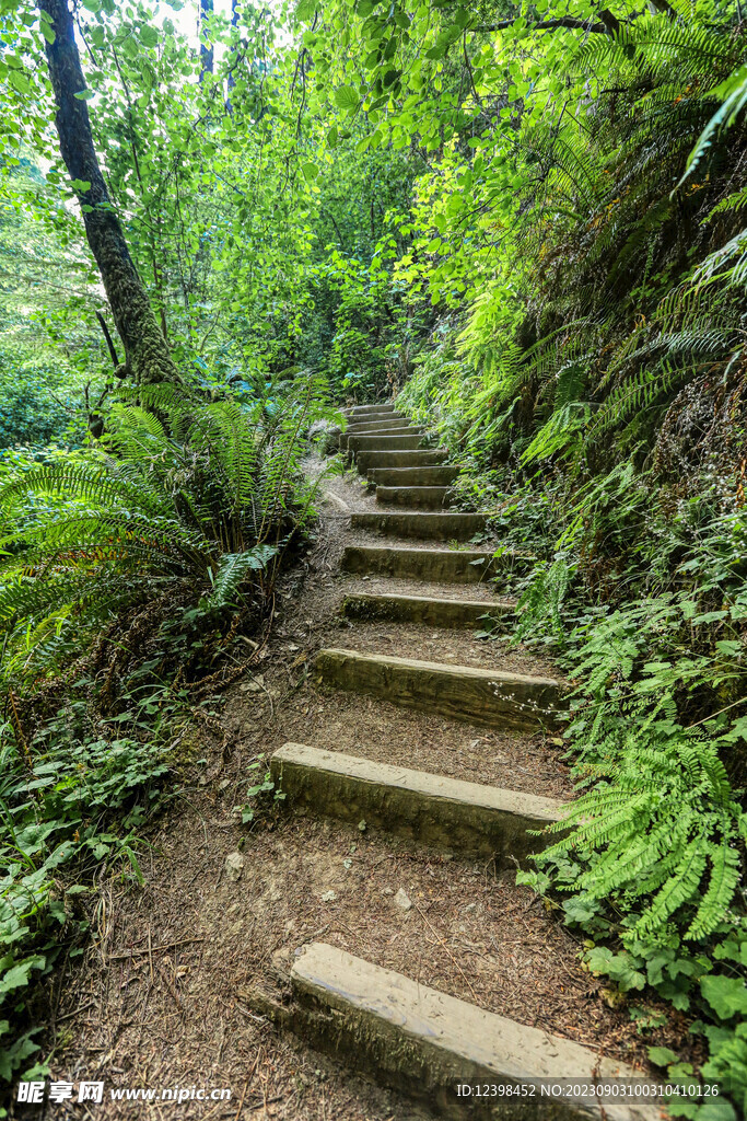 山林小路