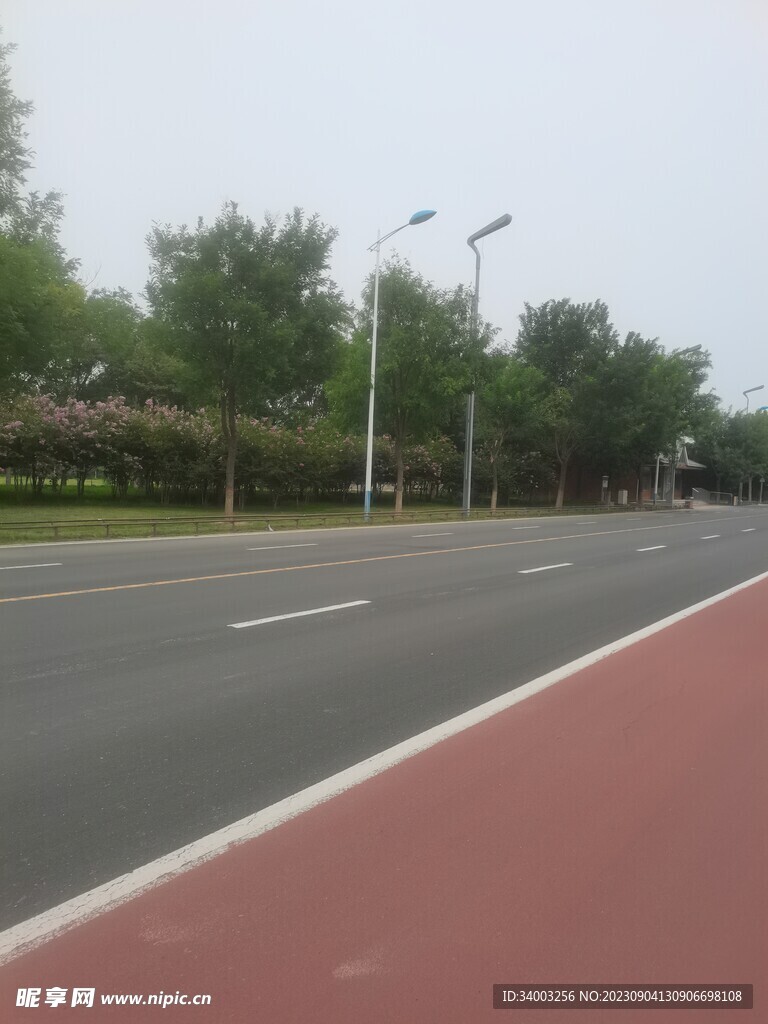 馬路