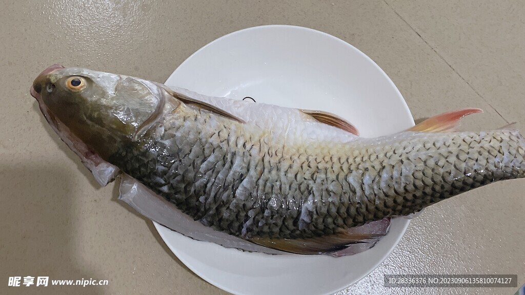 清蒸魚食材準備去魚鱗的魚