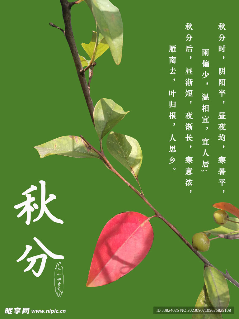 秋分