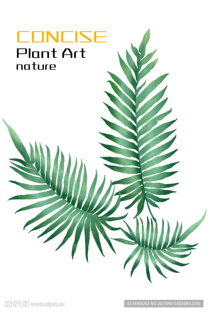 綠植裝飾畫
