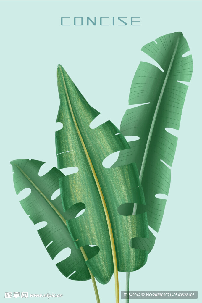 綠植裝飾畫