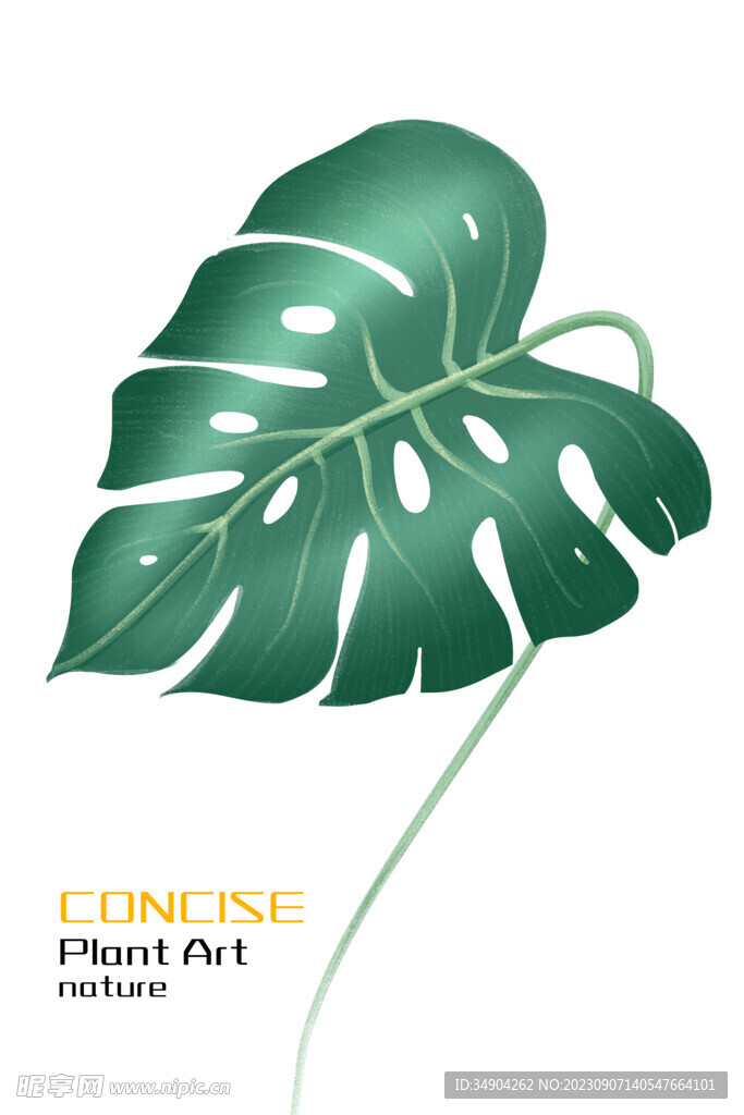 綠植裝飾畫