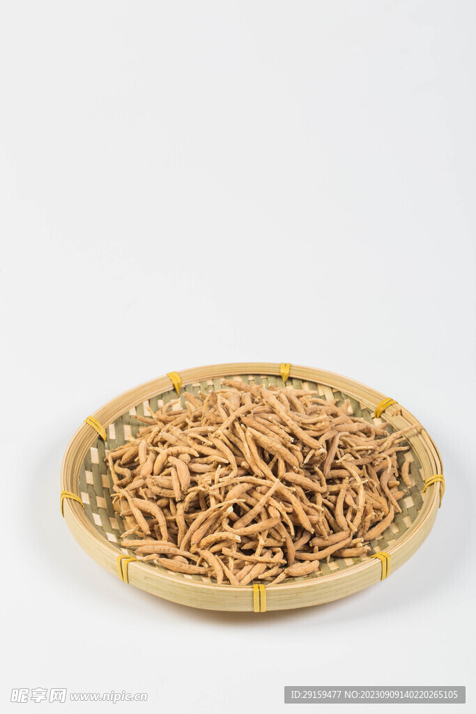            太子參 