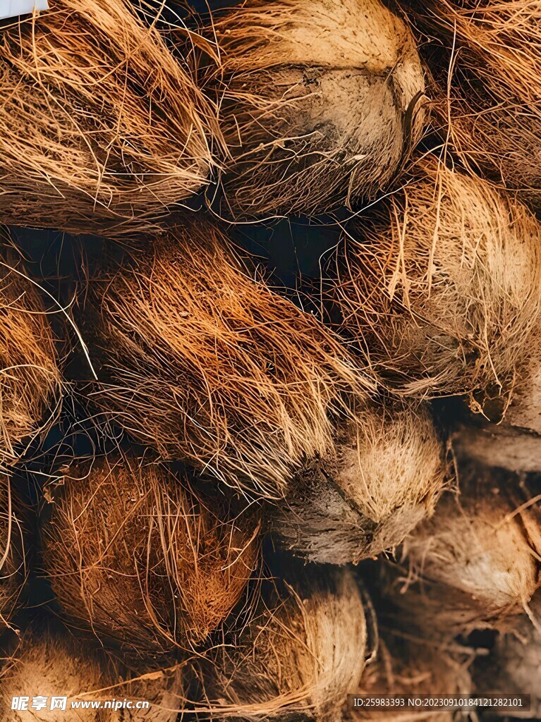 剝皮的椰子