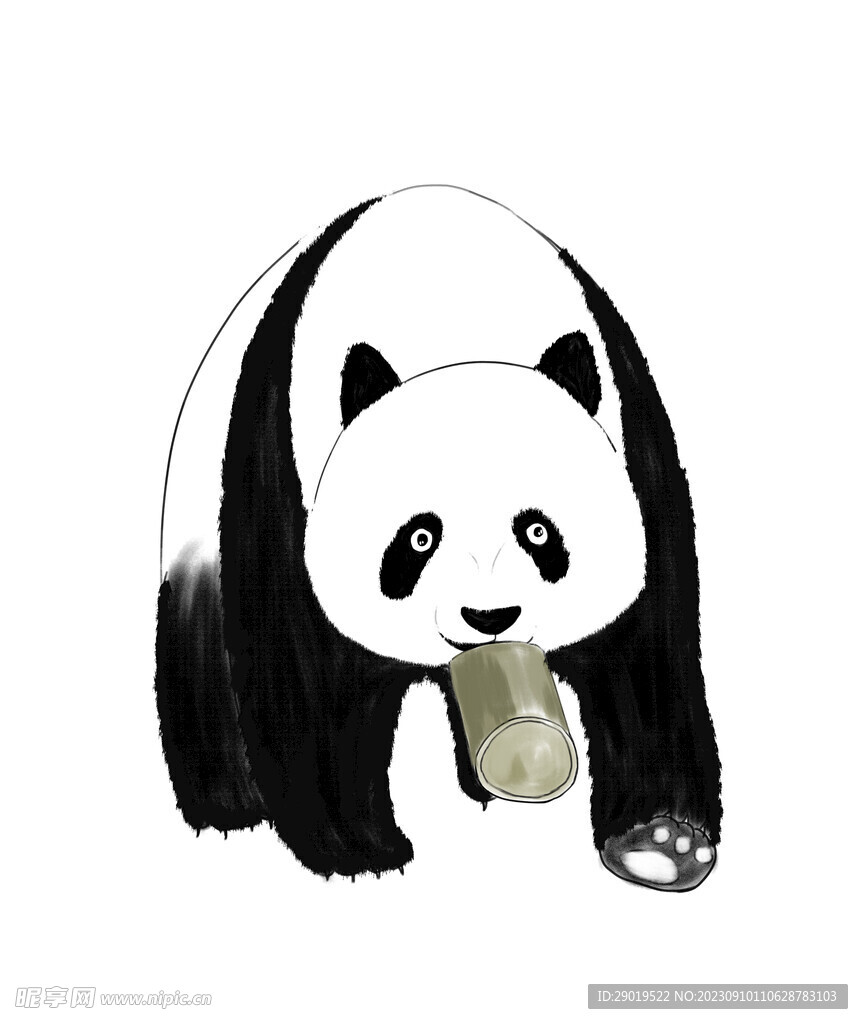 熊猫插画