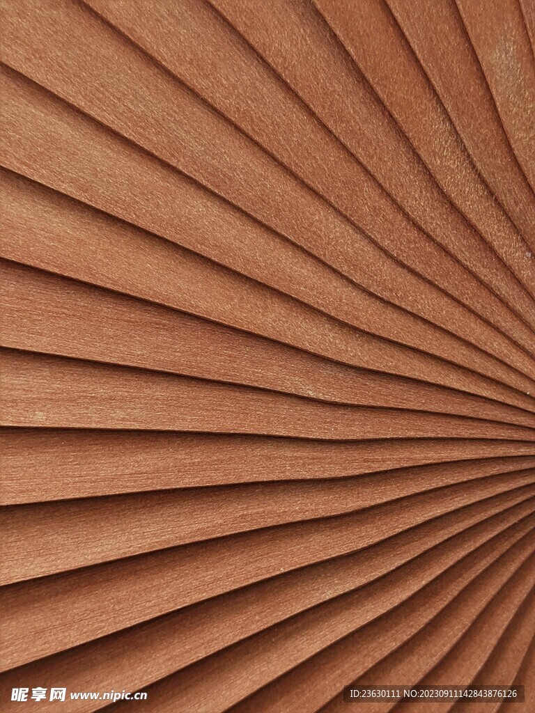 扇形