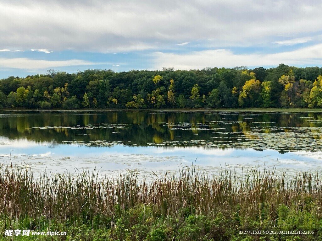 风景