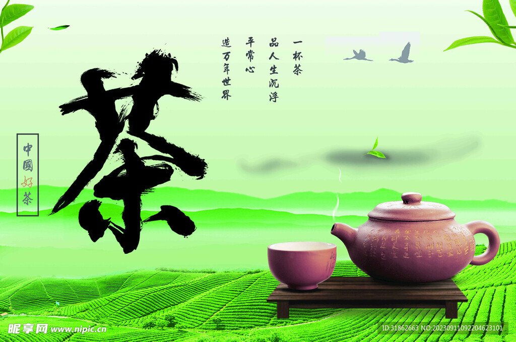 茶 櫥窗