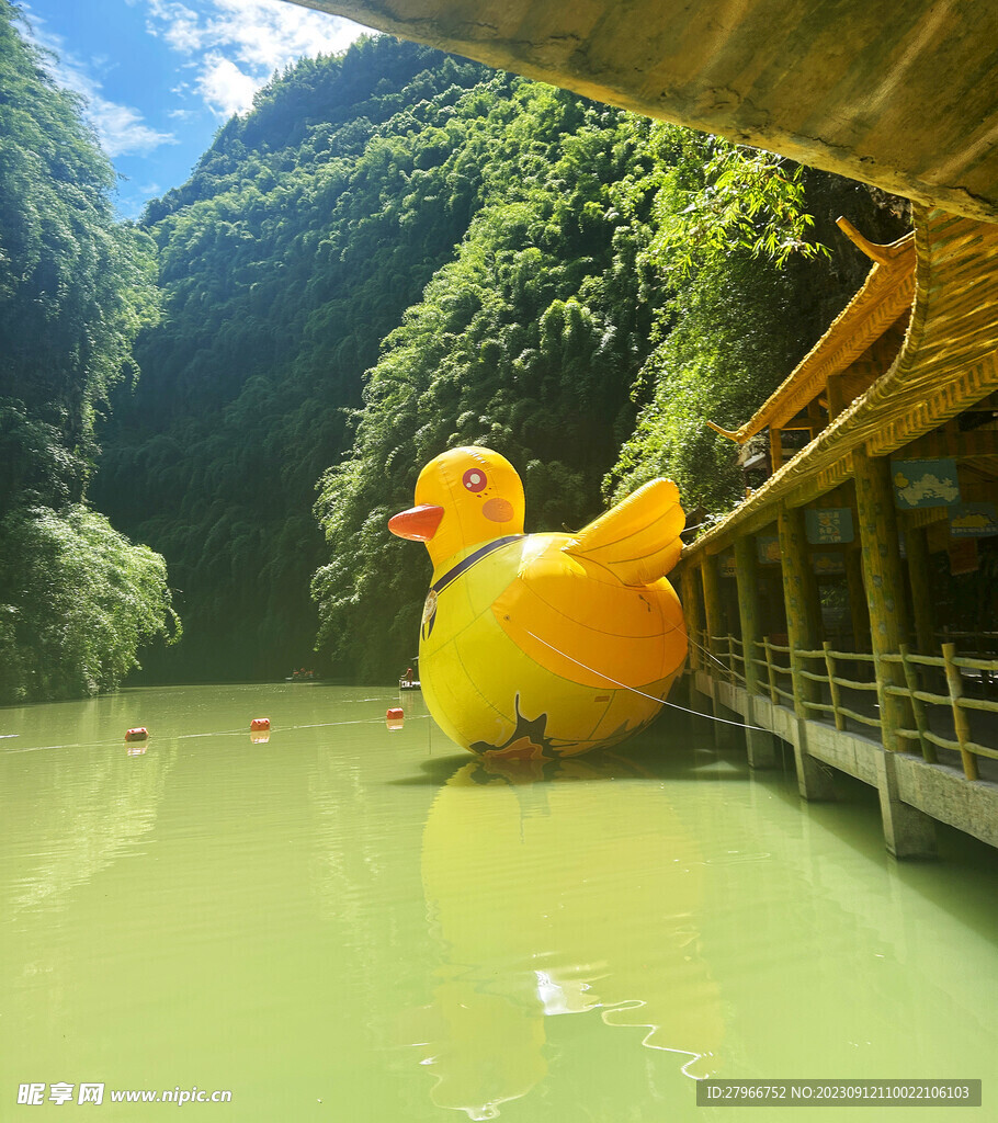 河水上的大黄鸭
