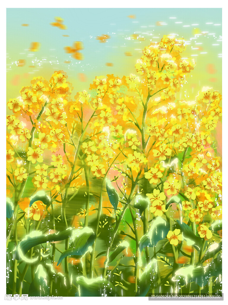 手繪油菜花春天花卉插畫