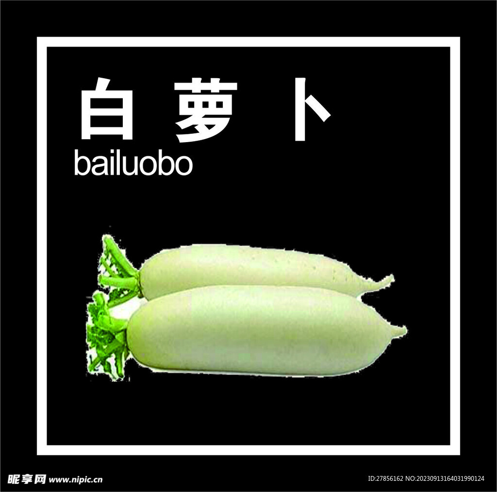 白蘿卜