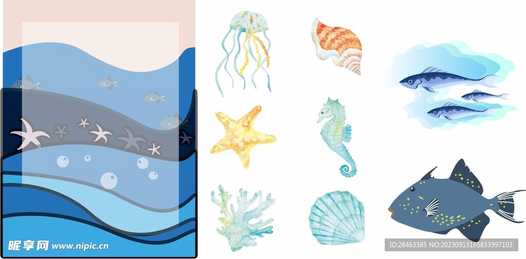 海洋魚