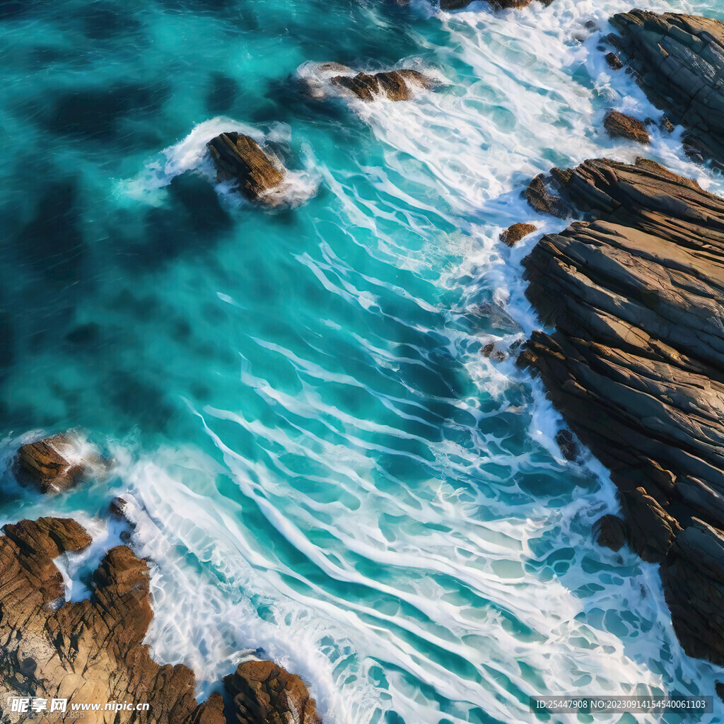 海