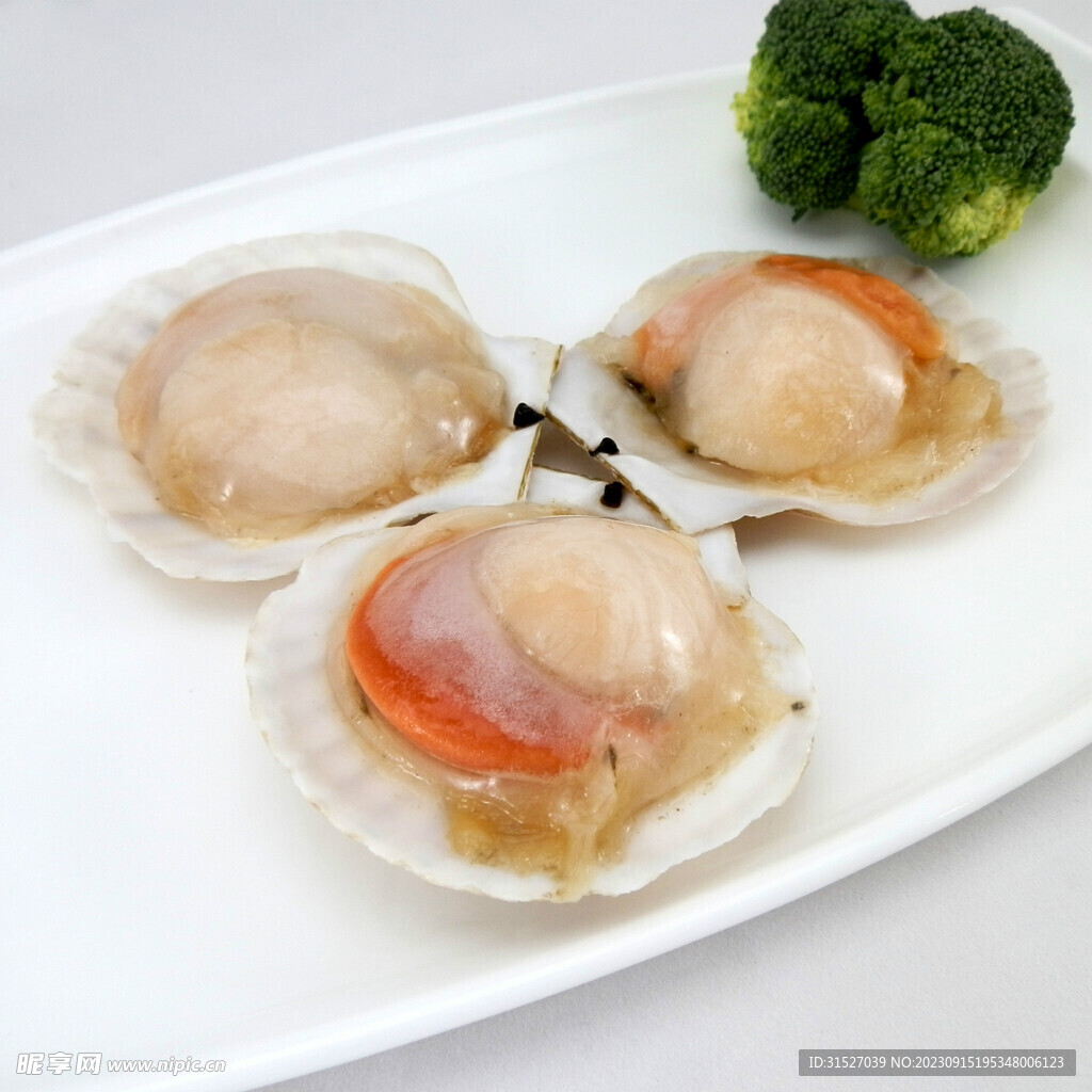美食扇貝攝影圖