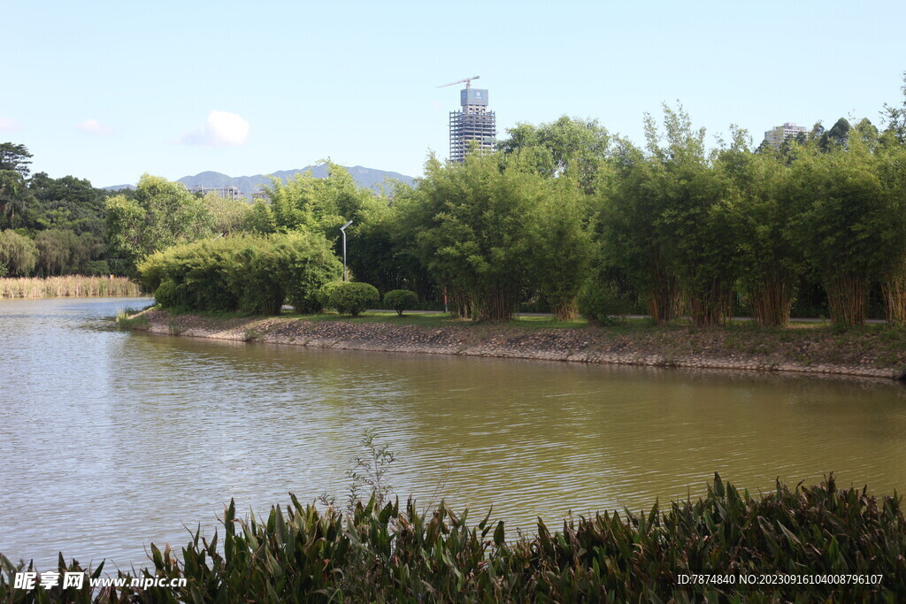 坪山湿地公园