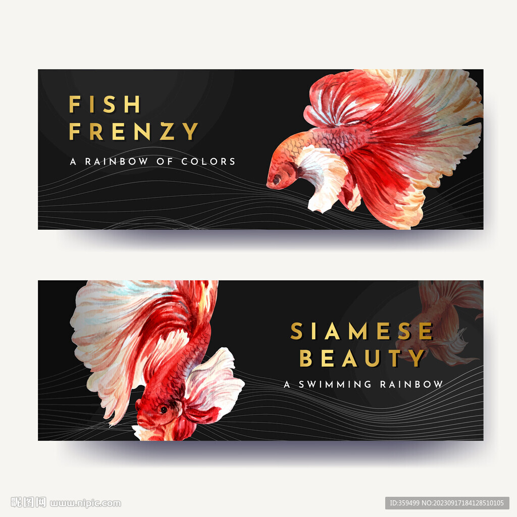 金魚