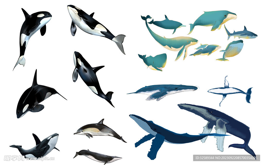 海洋生物元素