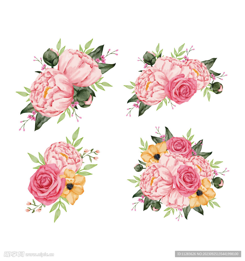 牡丹花插畫
