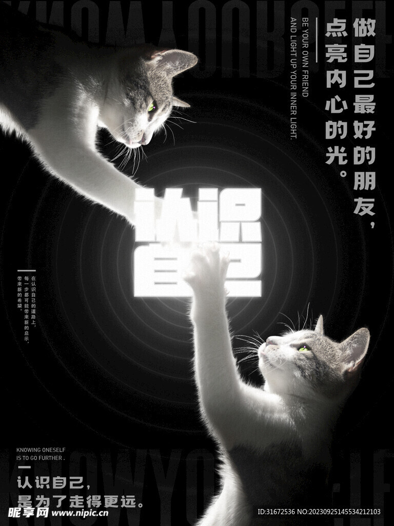 貓咪