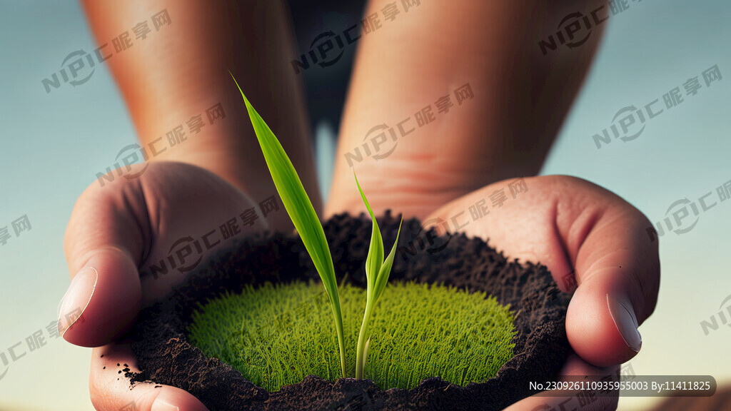 手捧土里面有一個(gè)小稻苗發(fā)芽稻苗