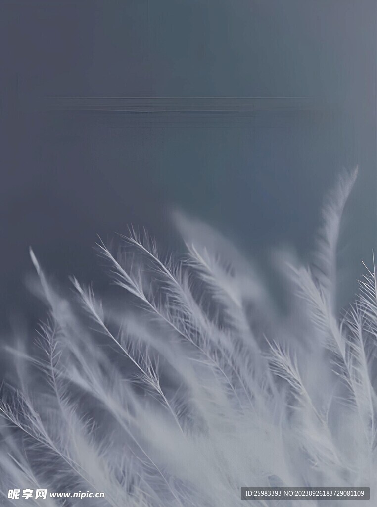 羽絨