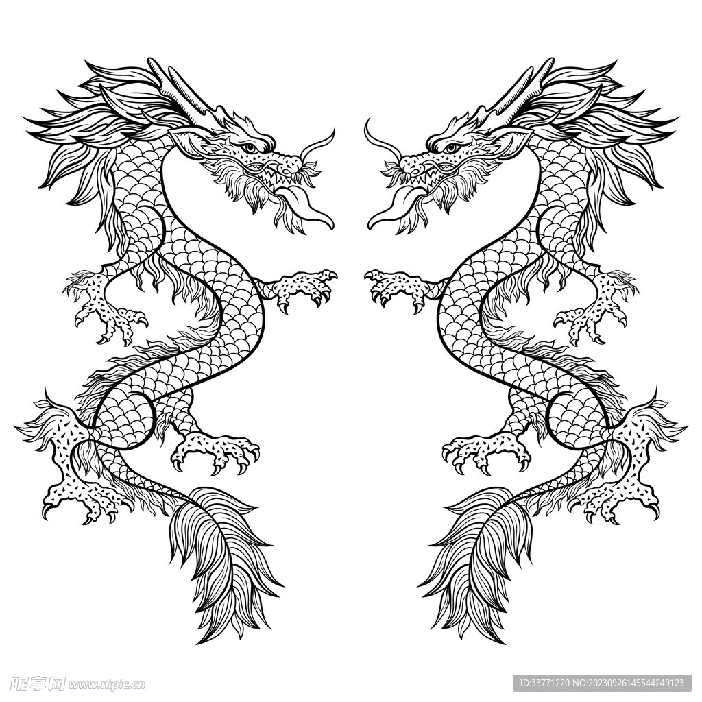 黑白雙龍